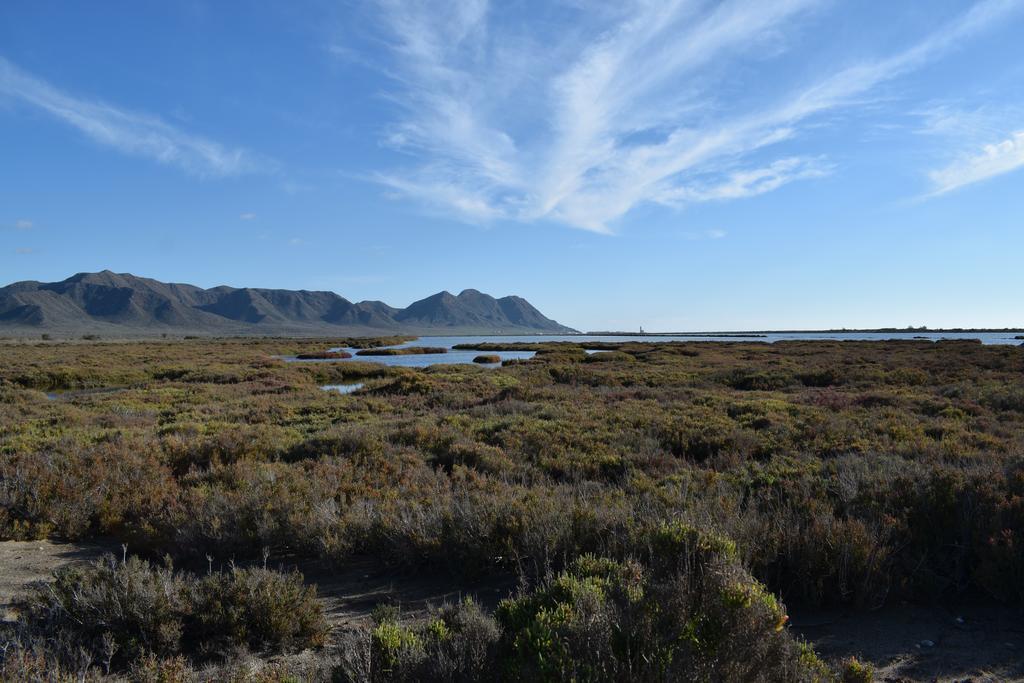 Гостевой дом Cortijo La Molina De Cabo De Gata Экстерьер фото