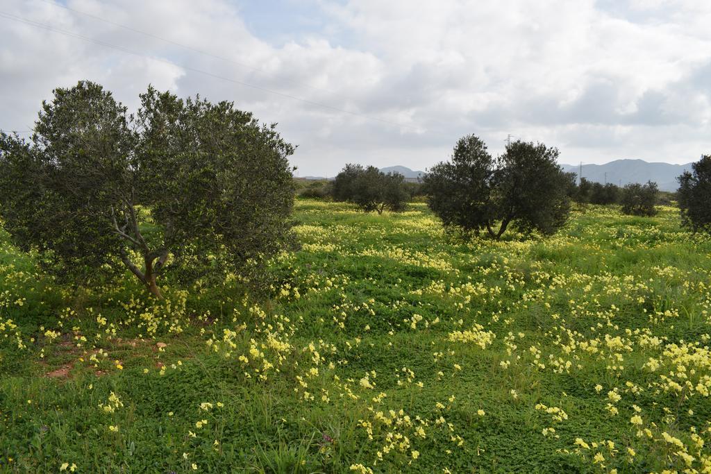 Гостевой дом Cortijo La Molina De Cabo De Gata Экстерьер фото